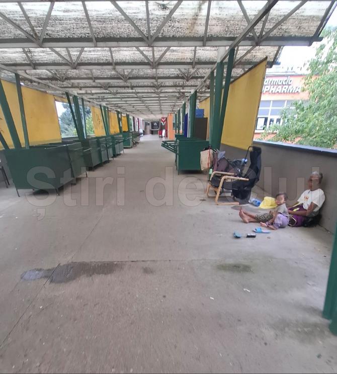 cersetori copii 1.png