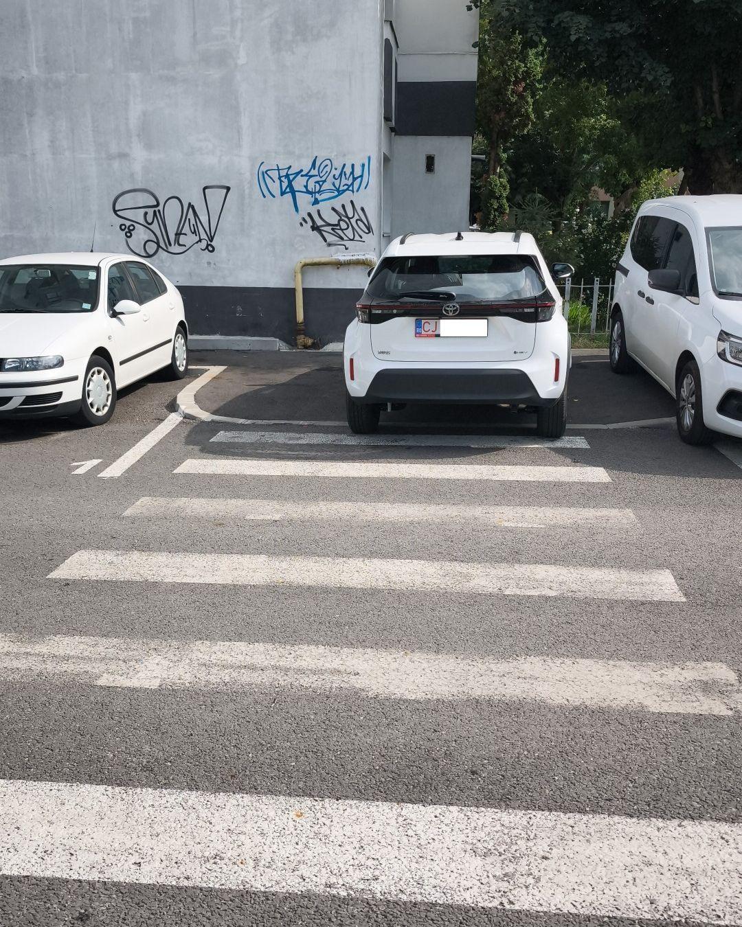 BASS ELEMENTZ (43).jpg