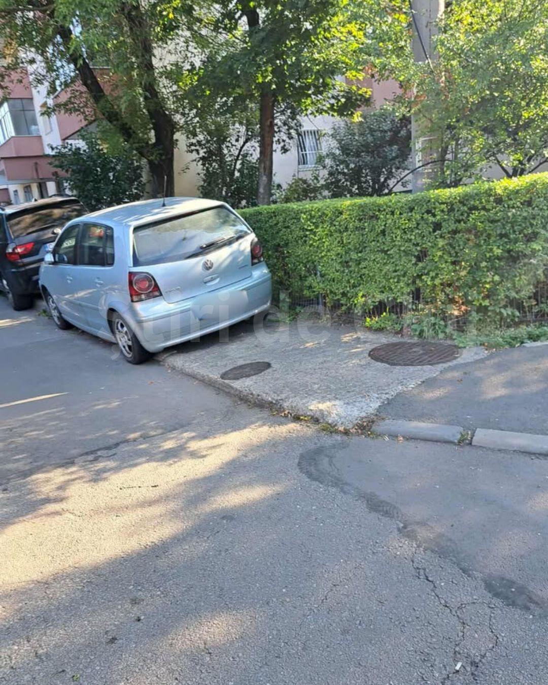 BASS ELEMENTZ (41).jpg