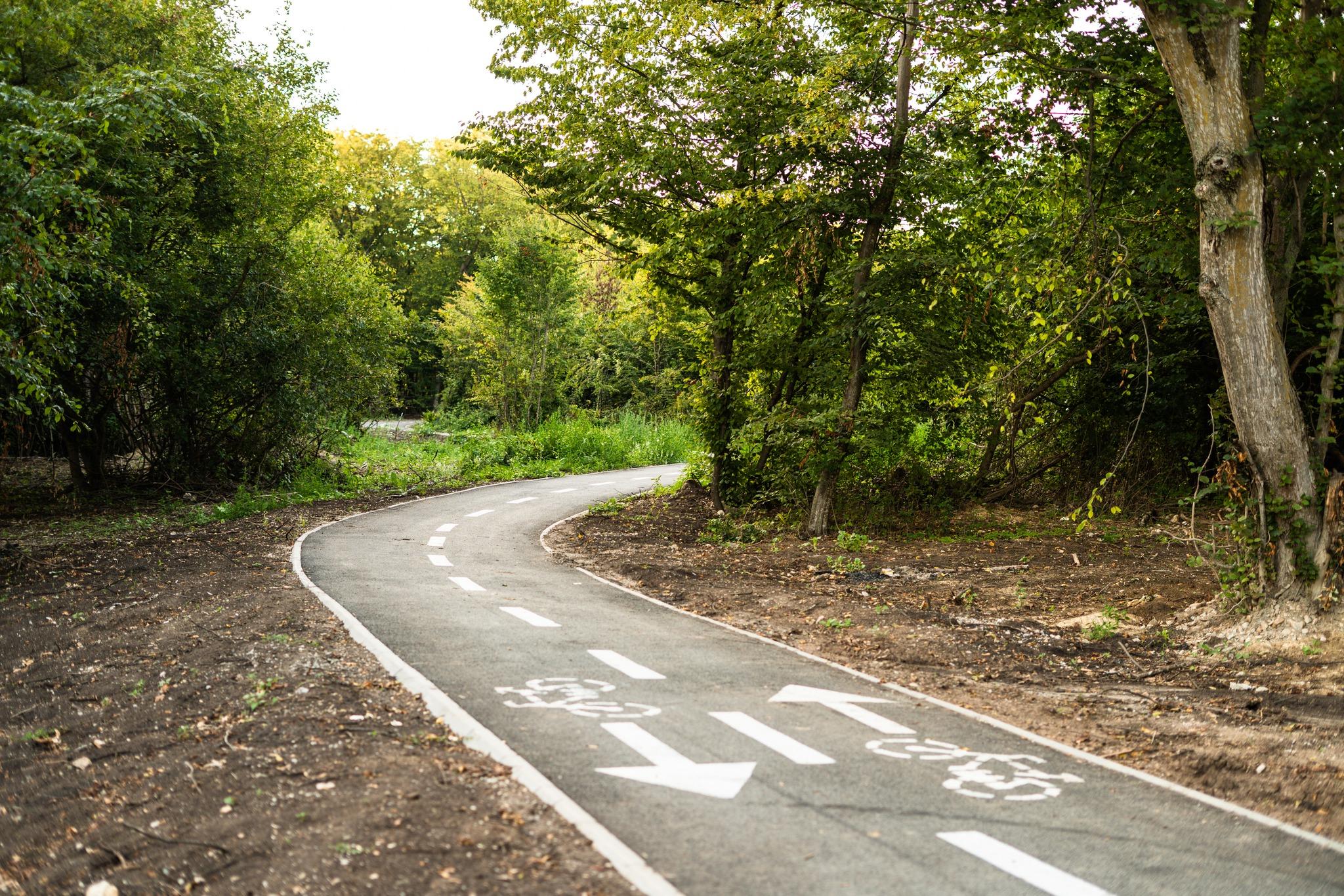 pista biciclete baciu 2.jpg
