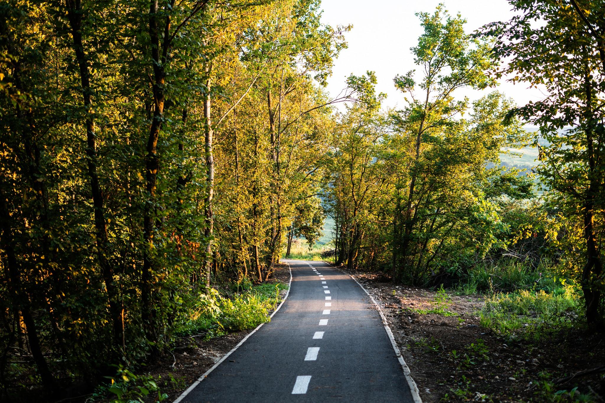 pista biciclete baciu 5.jpg