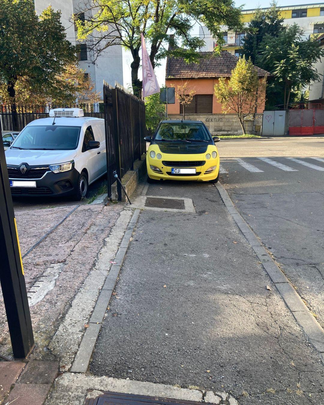 BASS ELEMENTZ (50).jpg