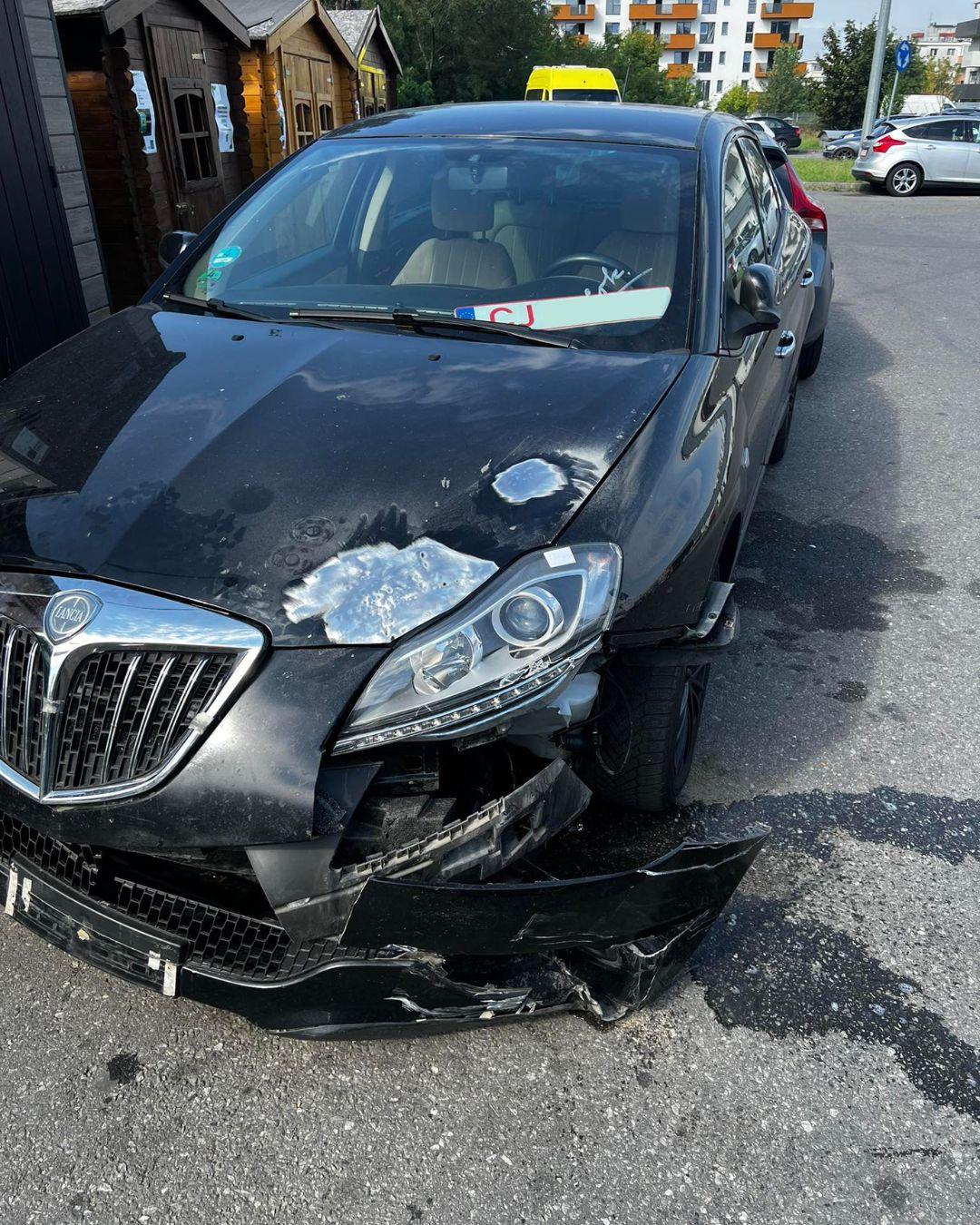 BASS ELEMENTZ (47).jpg