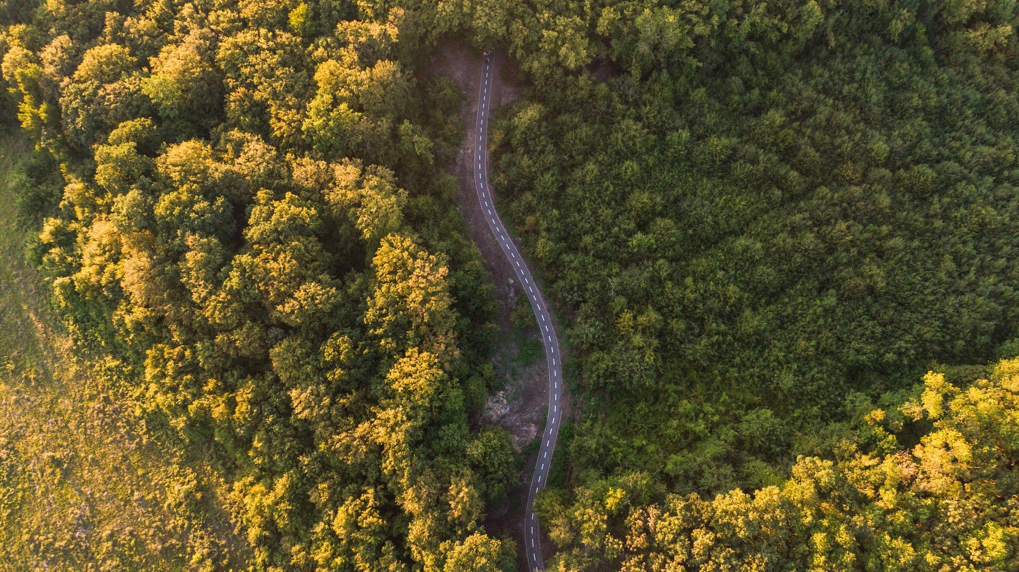 pista biciclete baciu 3.jpg