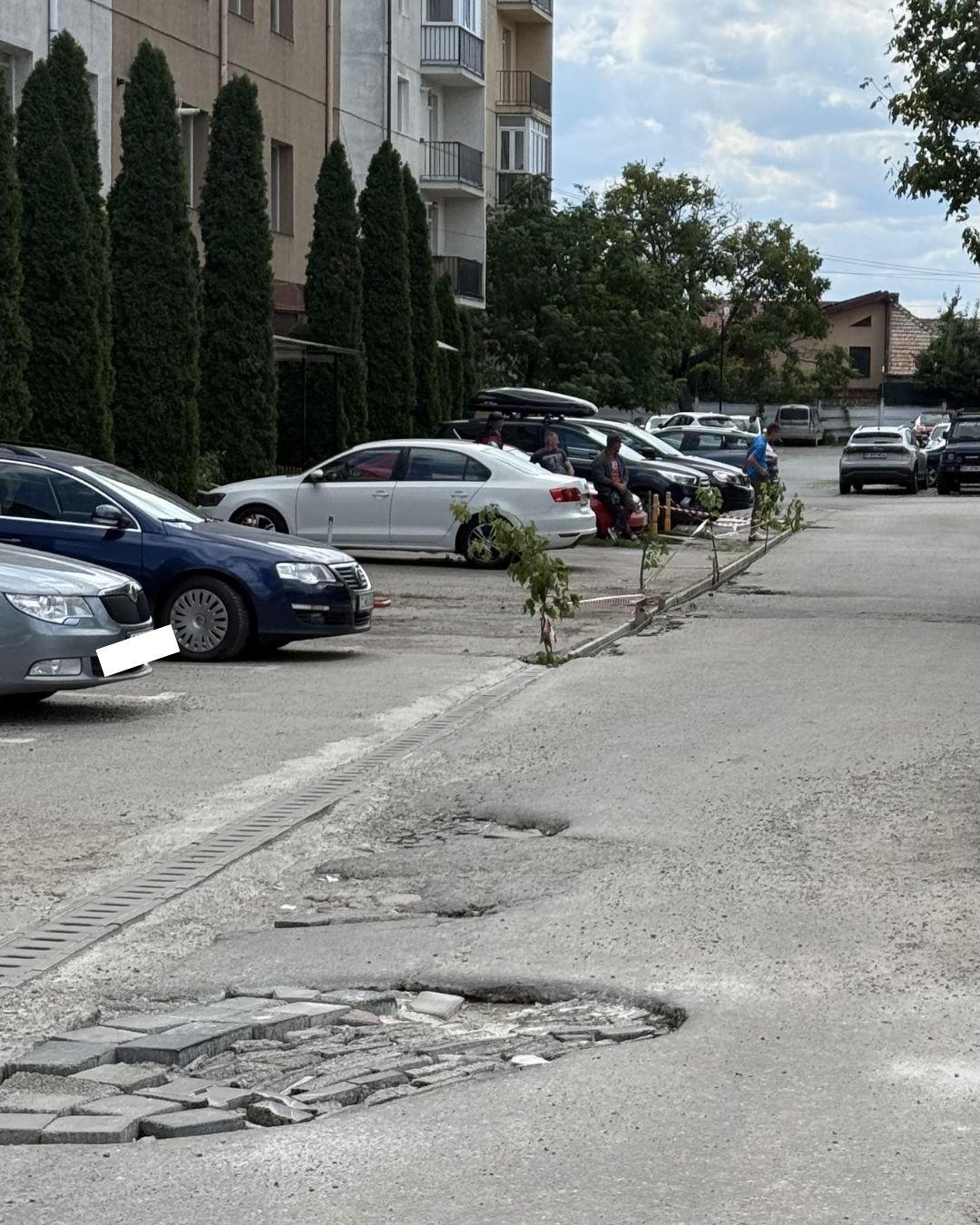 BASS ELEMENTZ (49).jpg