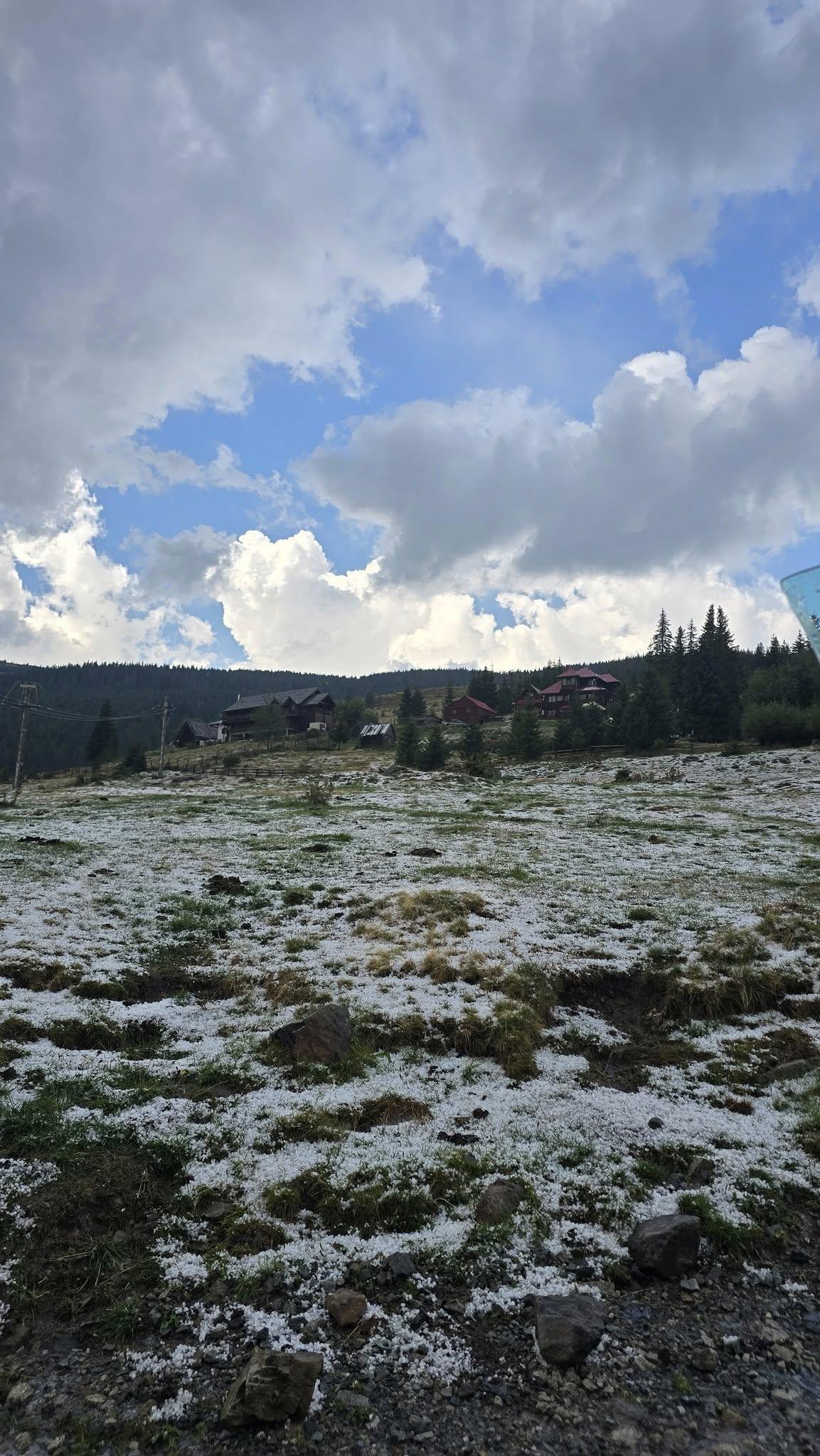 544918009_1277783870810759_2690021149012579492_n (1).jpg