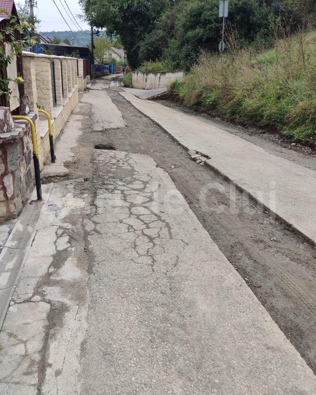 BASS ELEMENTZ (56).jpg