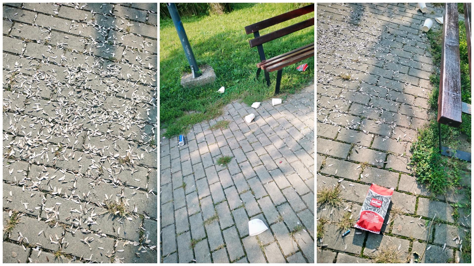 FotoJet - 2025-09-05T104130.398.jpg