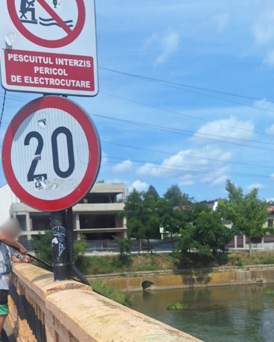 BASS ELEMENTZ (53).jpg