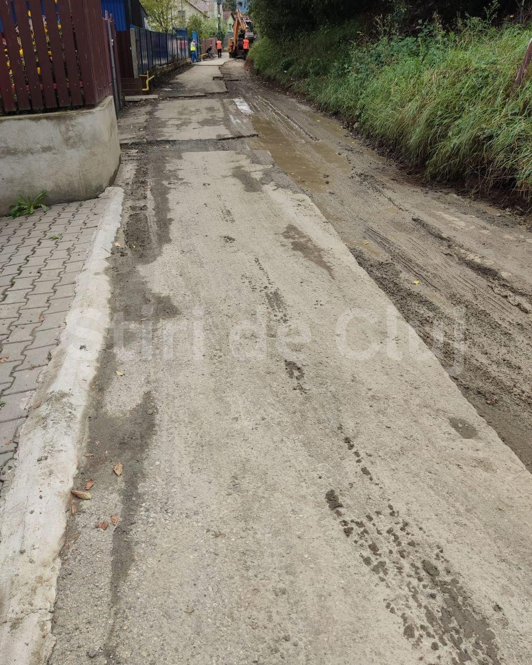 BASS ELEMENTZ (57).jpg