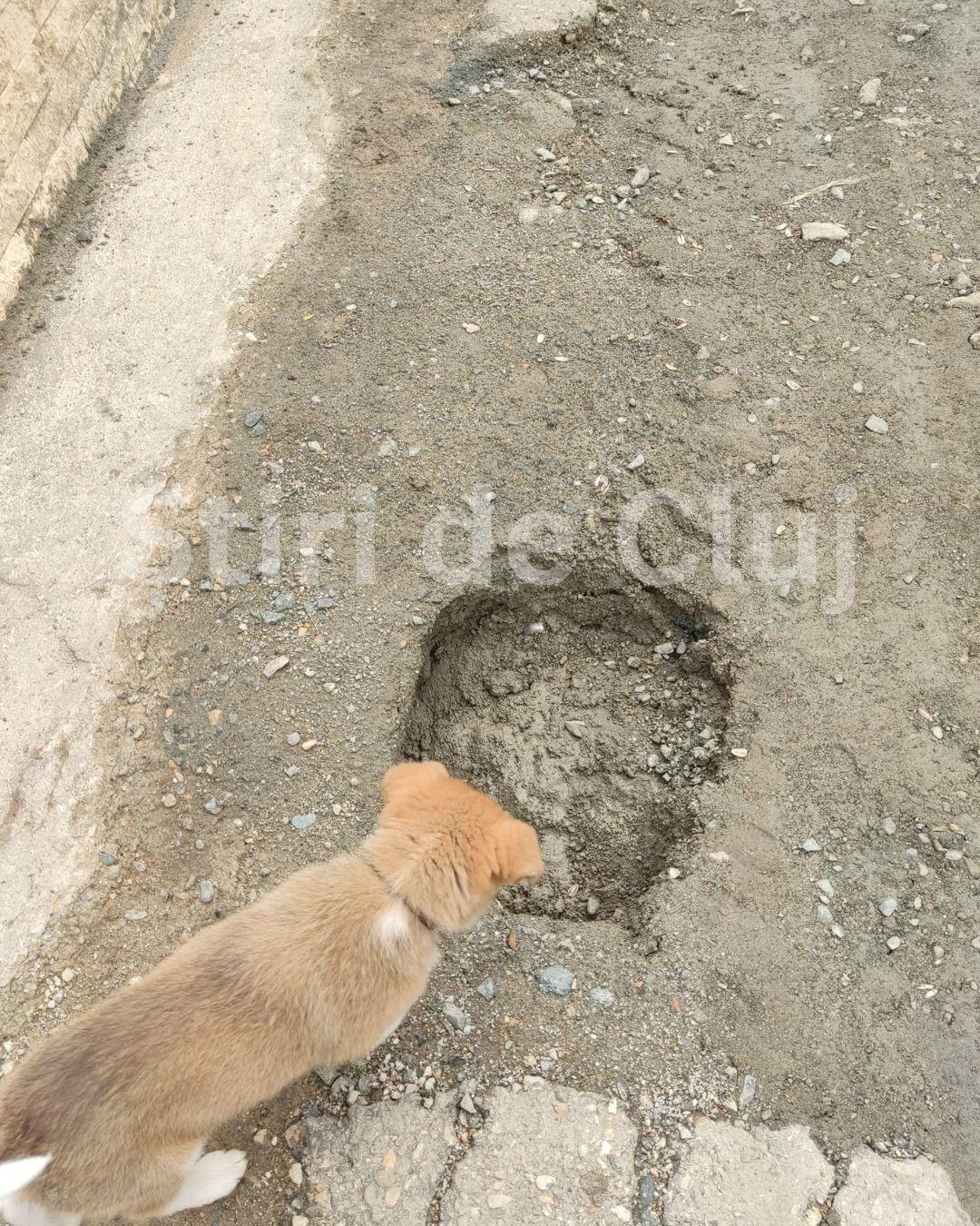 BASS ELEMENTZ (55).jpg