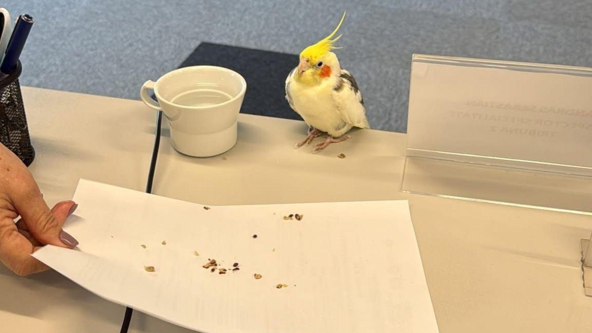 Untitled design - 2025-09-22T133143.813.jpg