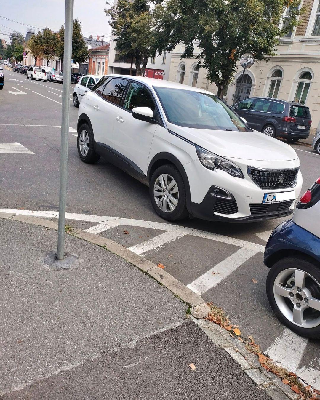 BASS ELEMENTZ (58).jpg