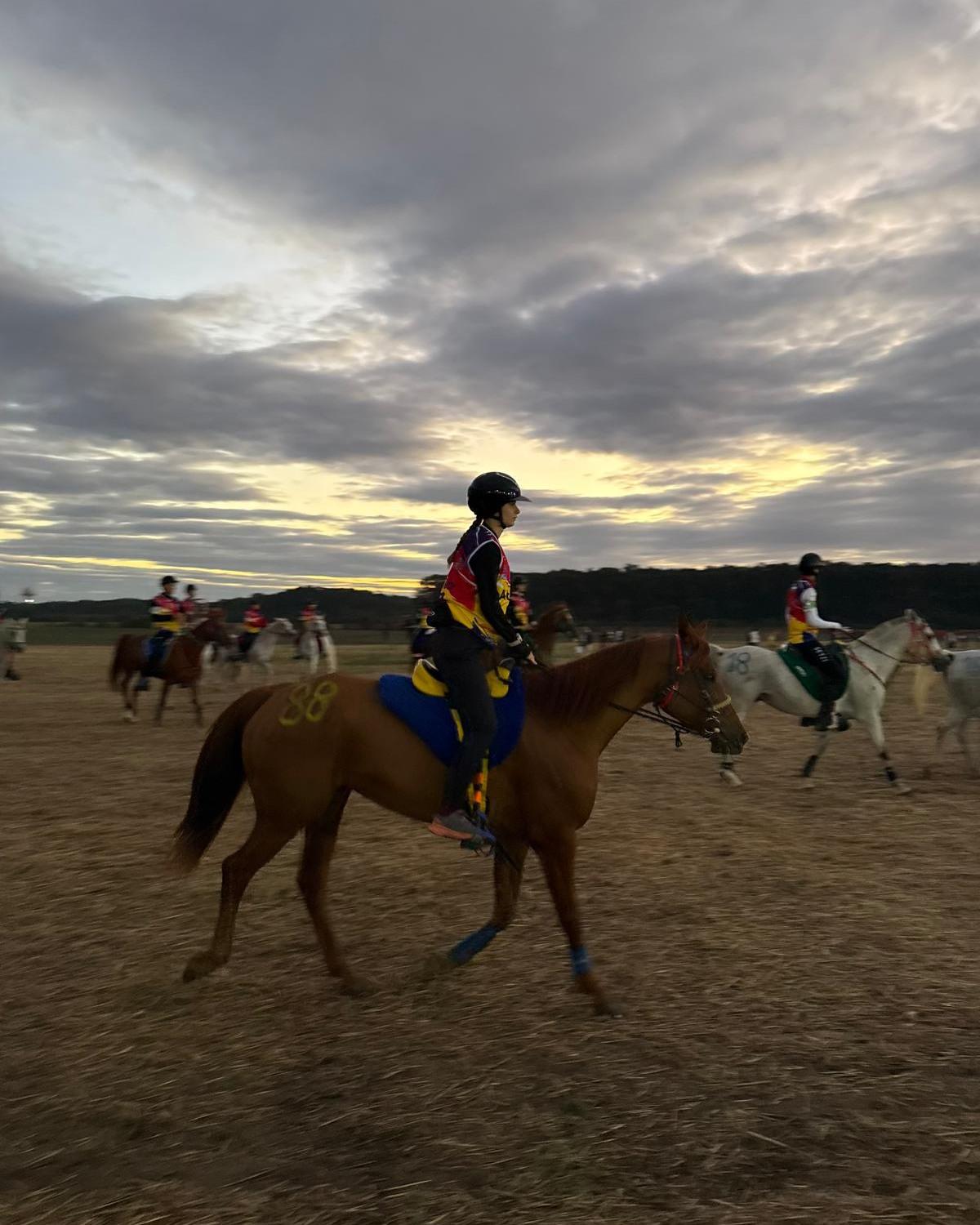 ana cosma elf cluj 3.jpg