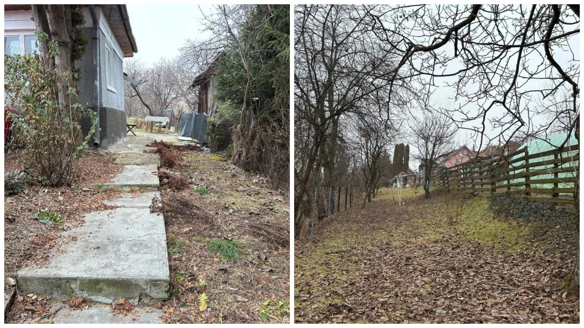 FotoJet - 2025-09-25T154717.409.jpg