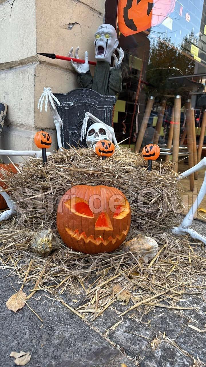 furt dovleac poza stiridecluj 1.jpg