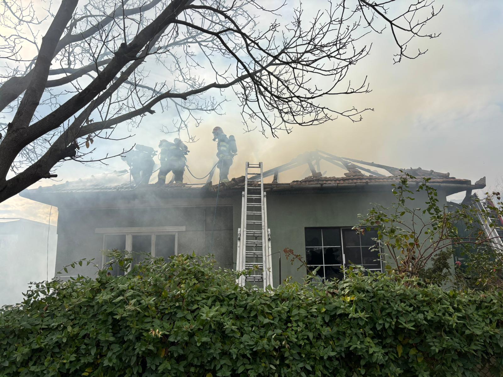 WhatsApp Image 2025-10-23 at 12.07.59_a8090ebf.jpg