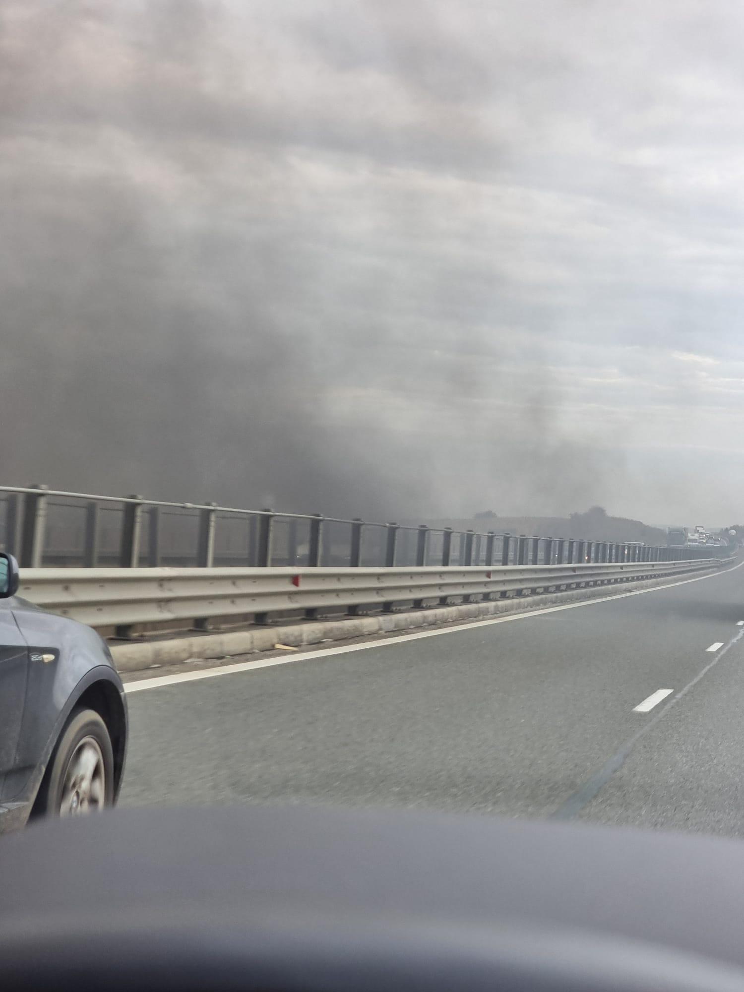 dbda8721-7f4a-4918-8685-48bdec12b20e.jfif