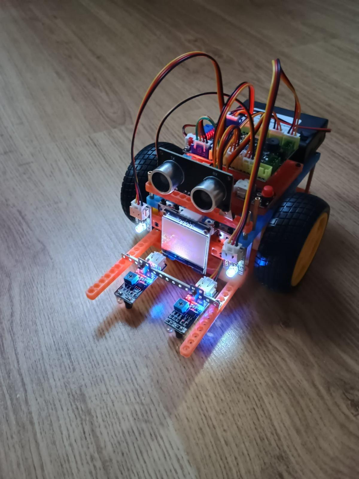 elevi racovita 3.jpg