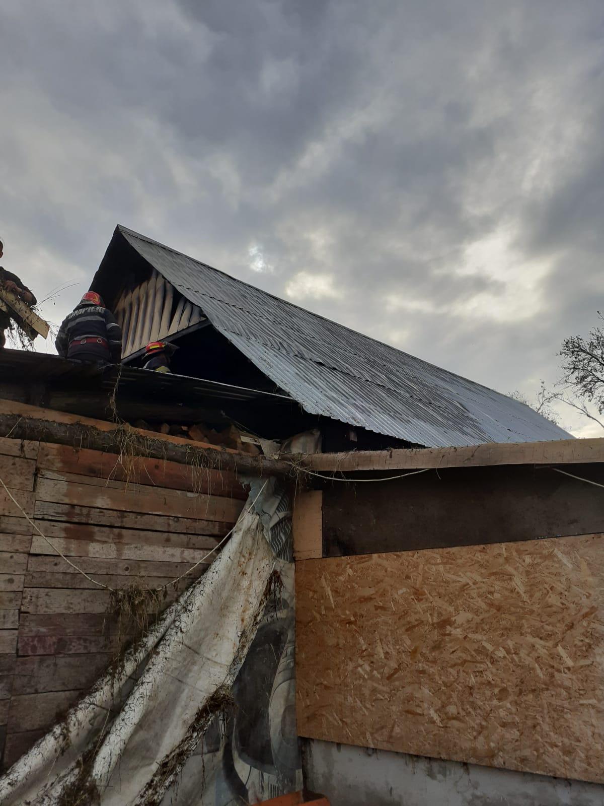 WhatsApp Image 2025-10-23 at 15.11.27.jpeg