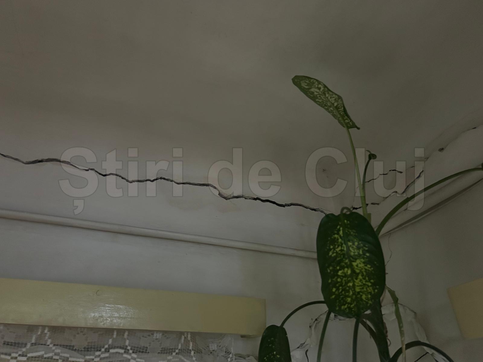 drum 11 stiridecluj.jpg