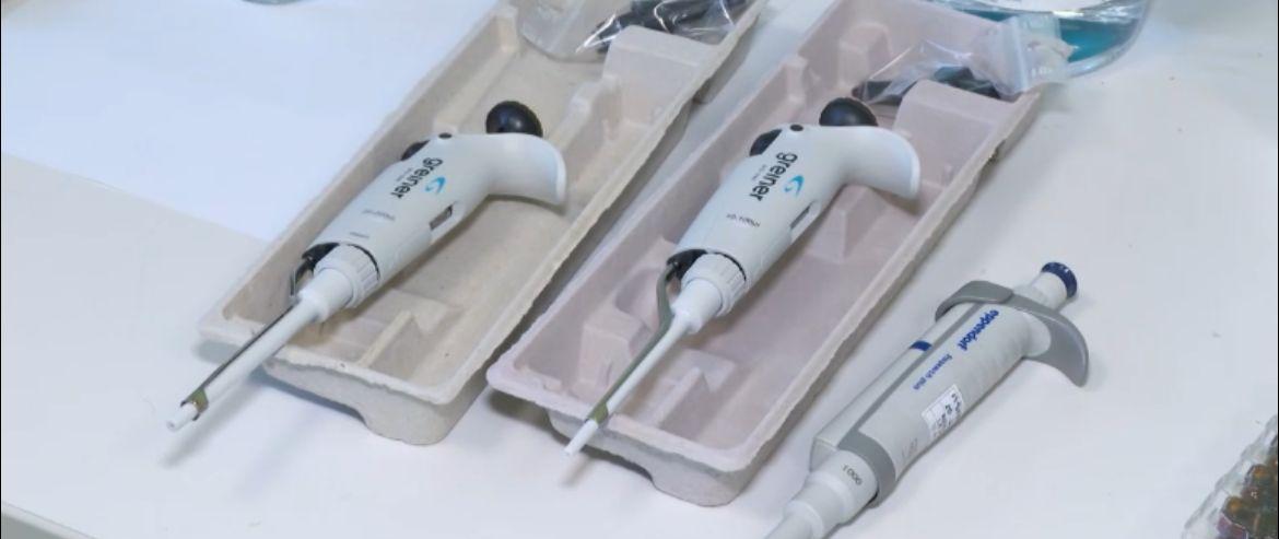 WhatsApp Image 2025-11-08 at 11.33.18.jpeg