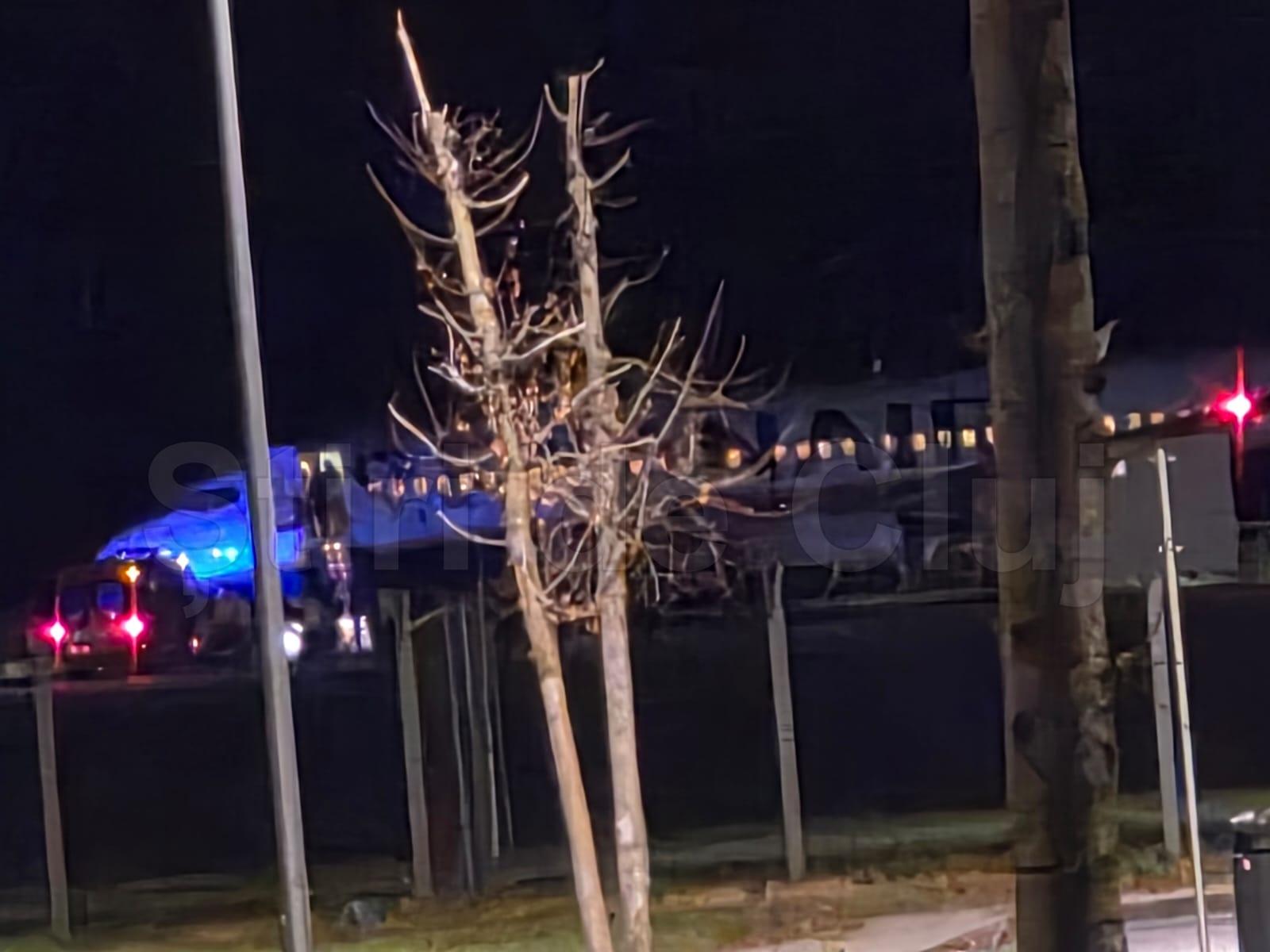 aeronava ryanair 2.jpg