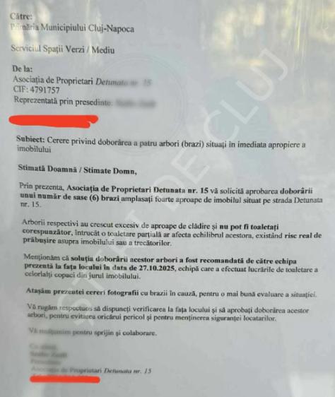 kslkdlakdlasdkslkksa .png