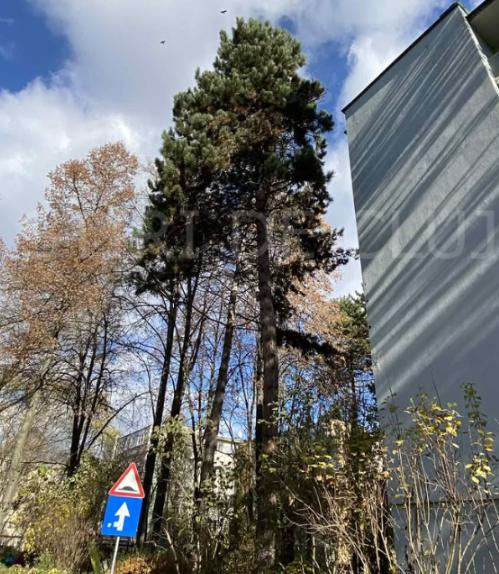 SOPIDSAOIDOASIA .png