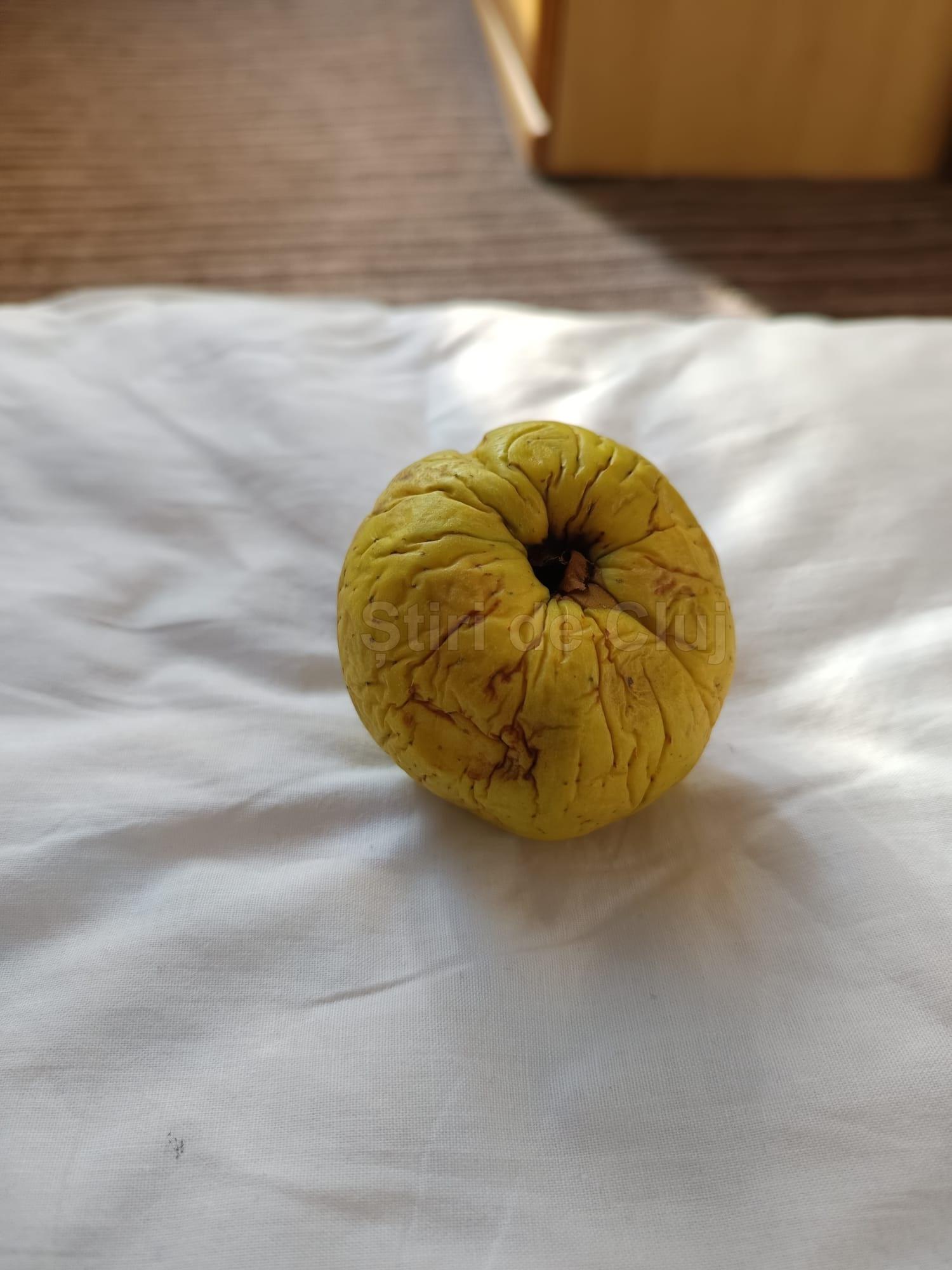 mar stricat stiri de cluj.jpeg