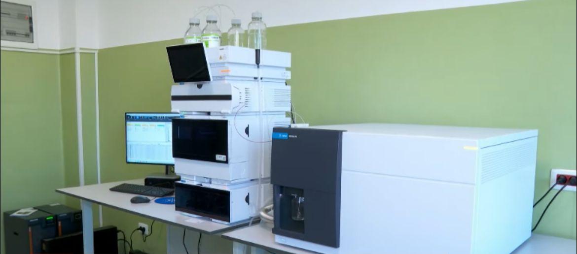 WhatsApp Image 2025-11-08 at 11.33.07.jpeg