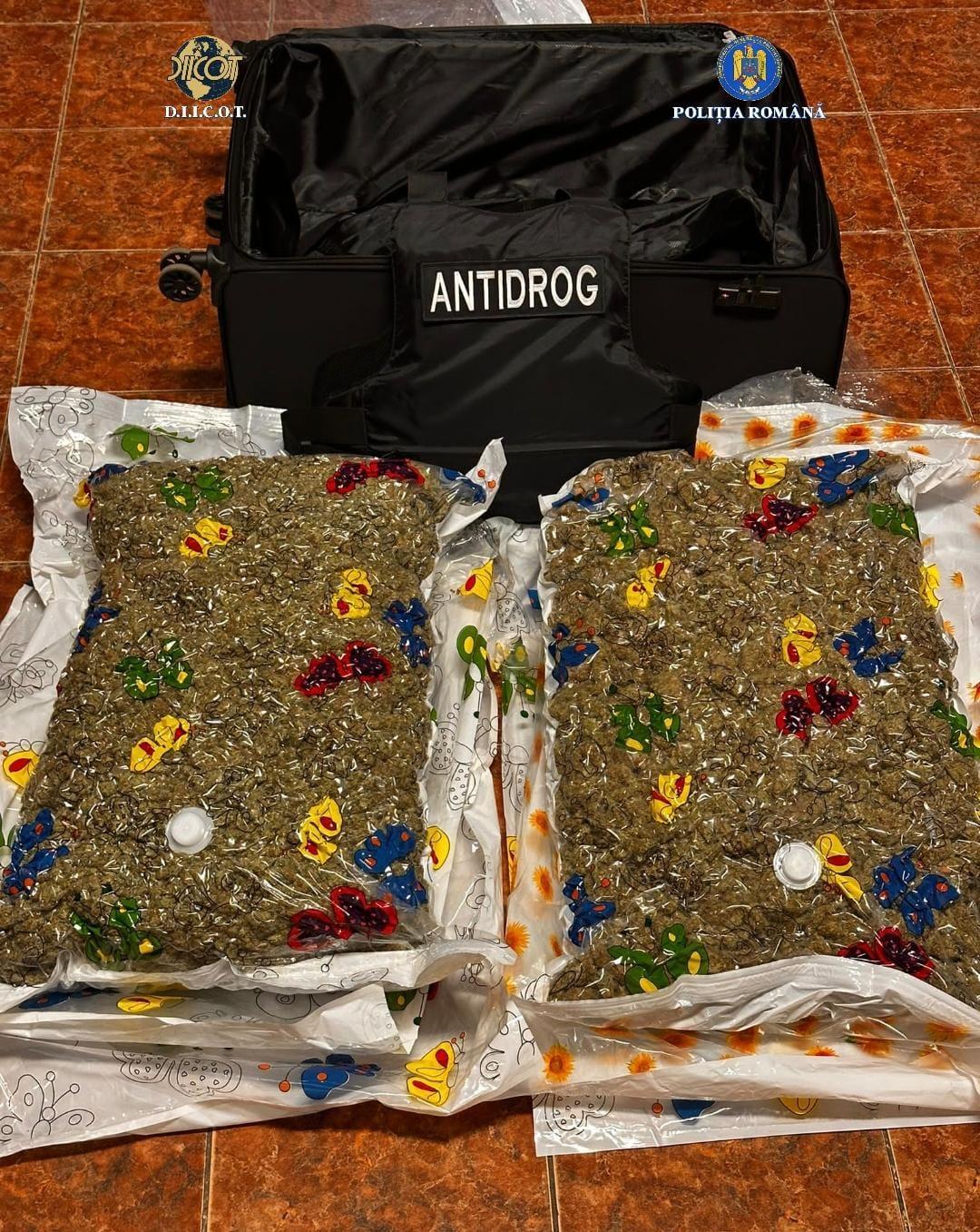 WhatsApp Image 2025-11-21 at 15.21.00_289ee07f.jpg