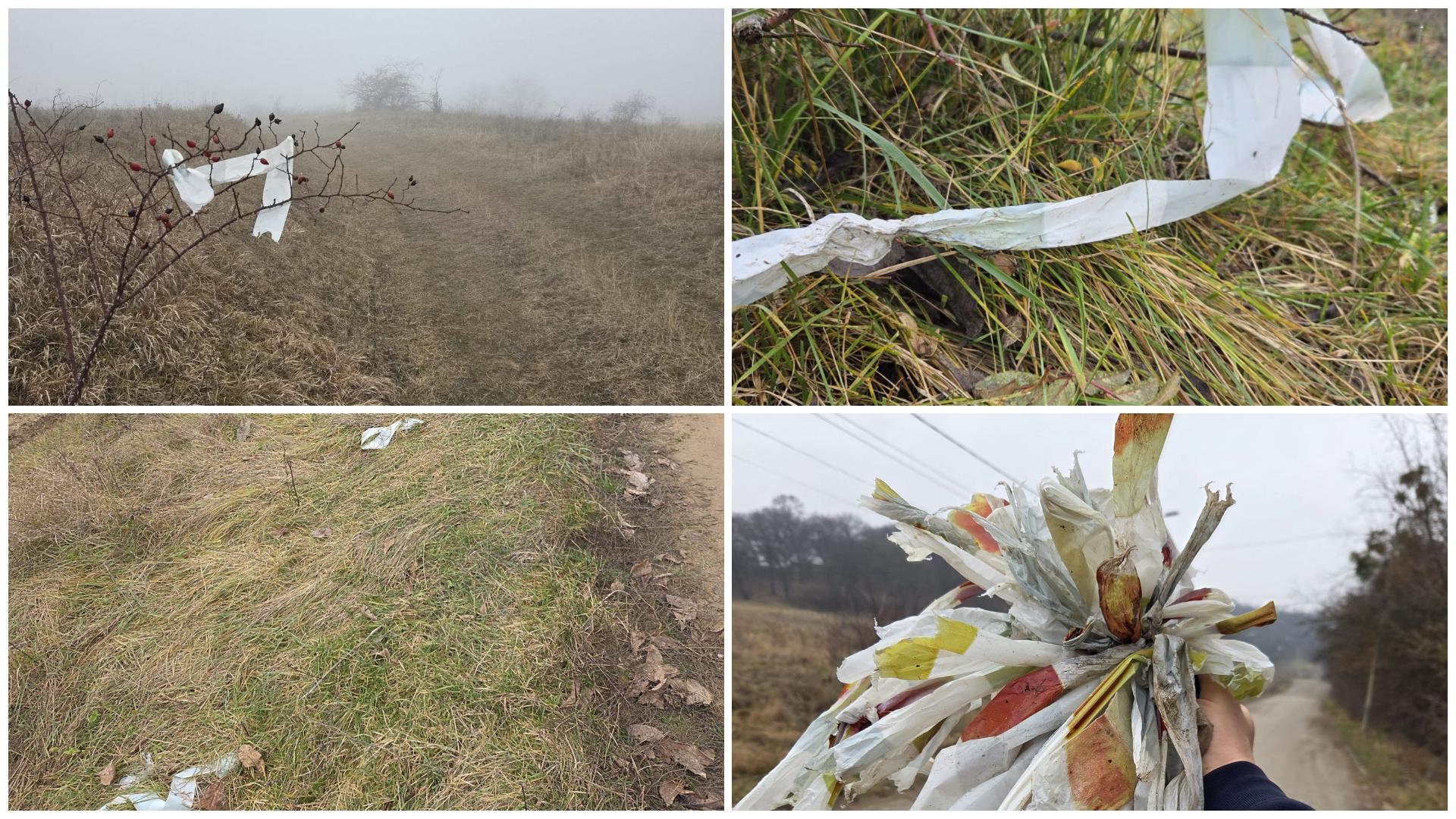 FotoJet - 2025-12-29T093831.874.jpg