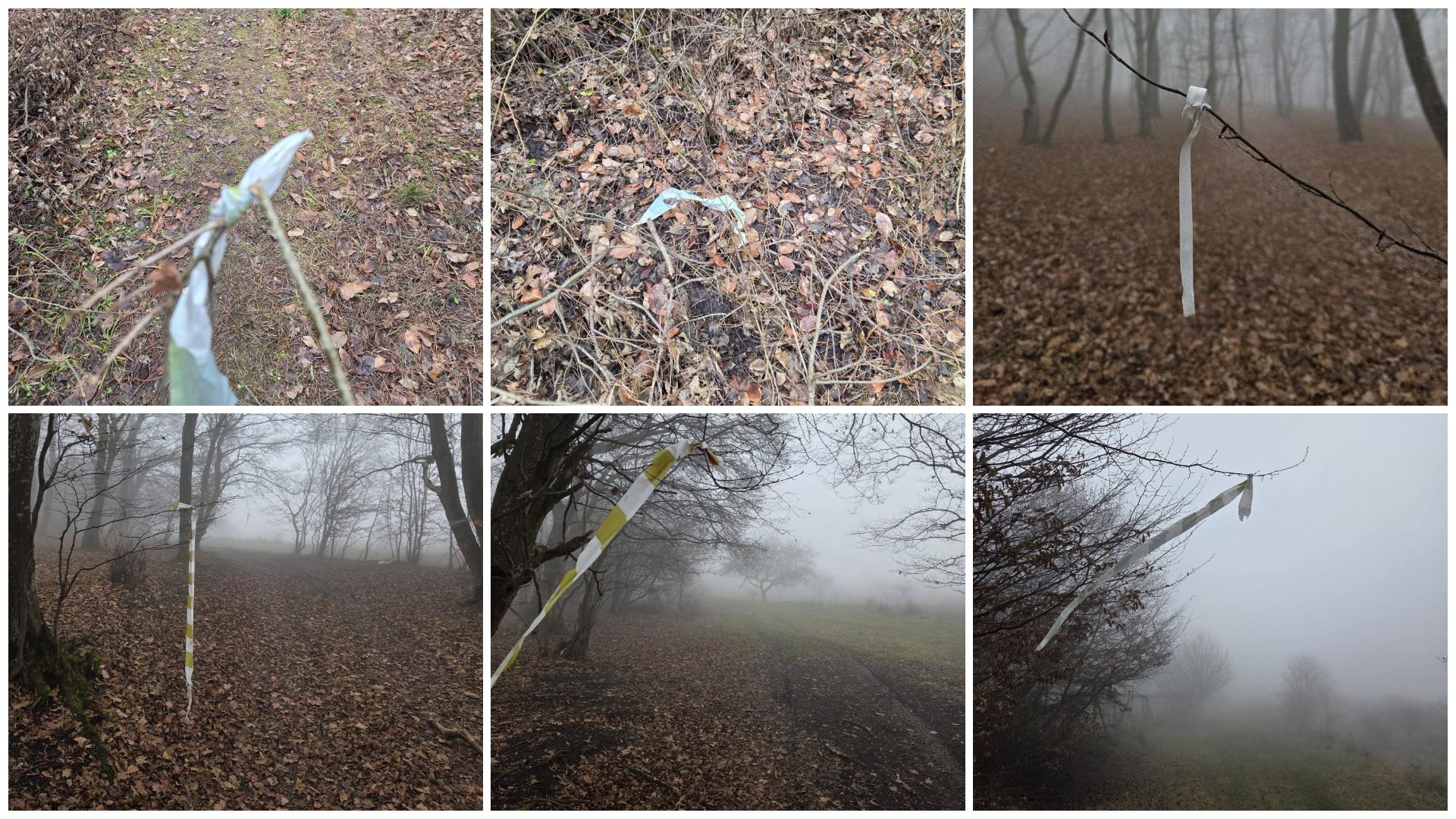 FotoJet - 2025-12-29T093639.737.jpg