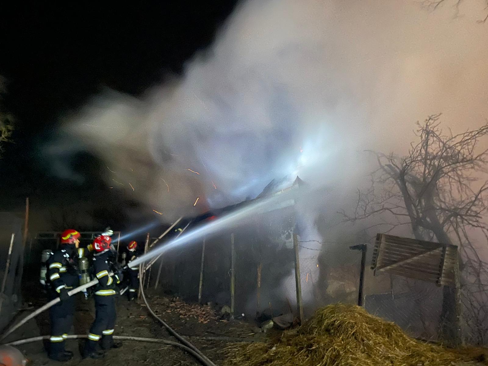 WhatsApp Image 2025-12-29 at 11.39.00.jpeg