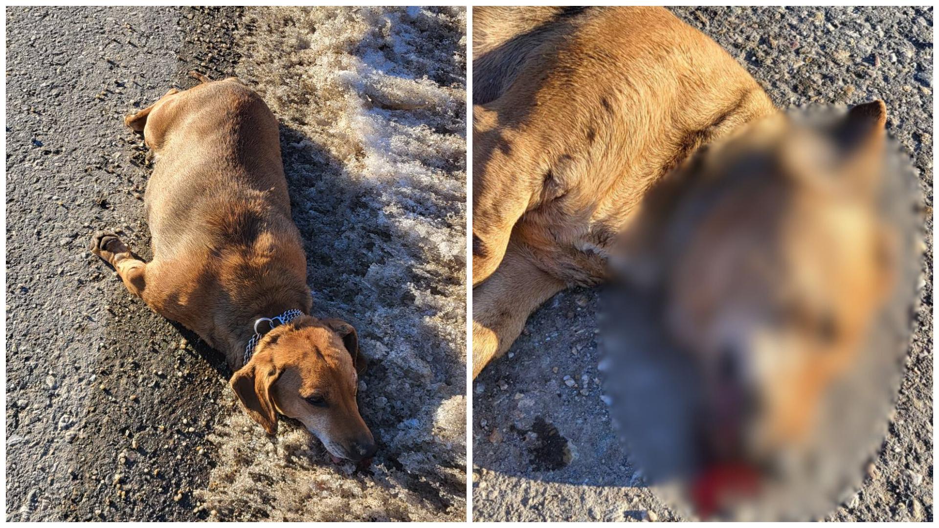 FotoJet - 2026-01-19T143511.578.jpg