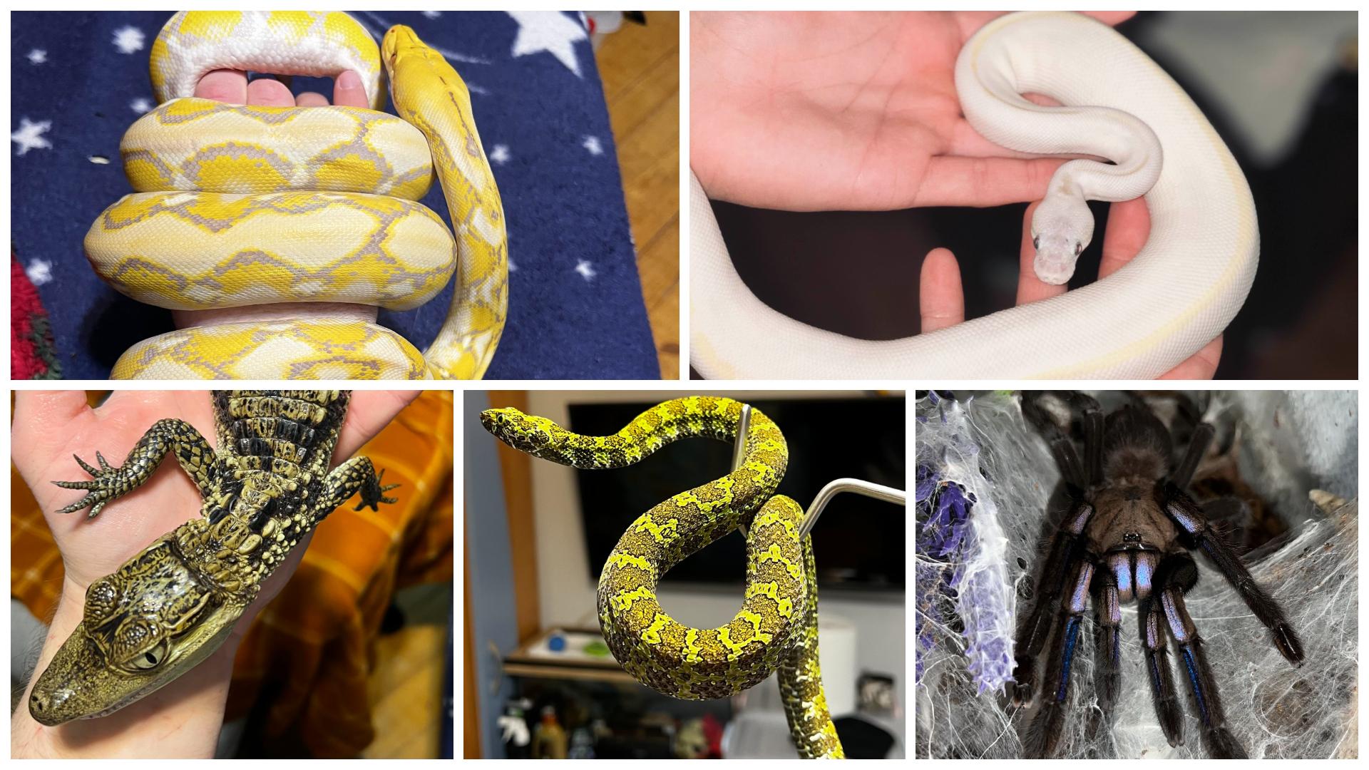 FotoJet - 2026-01-15T165601.871.jpg