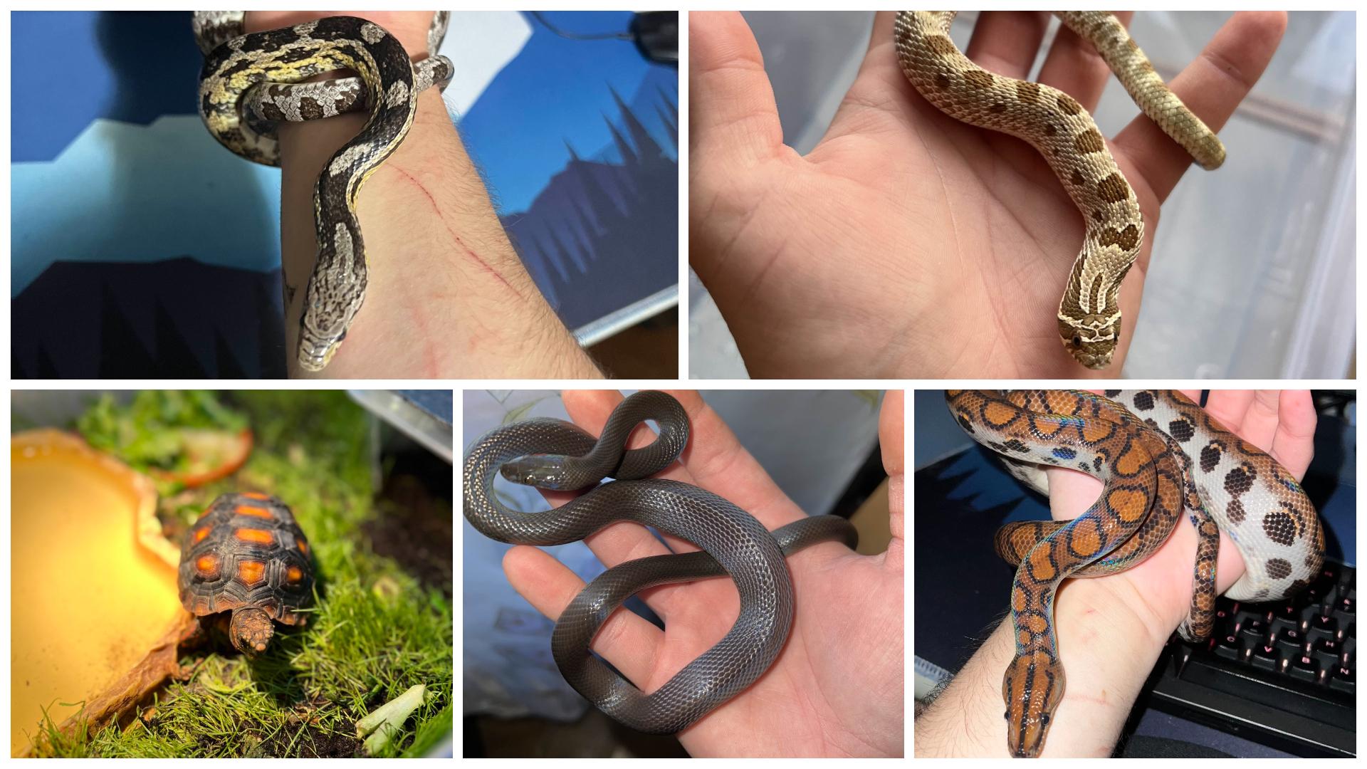 FotoJet - 2026-01-15T165505.933.jpg