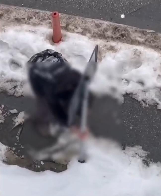 Screenshot 2026-01-27 122040.png