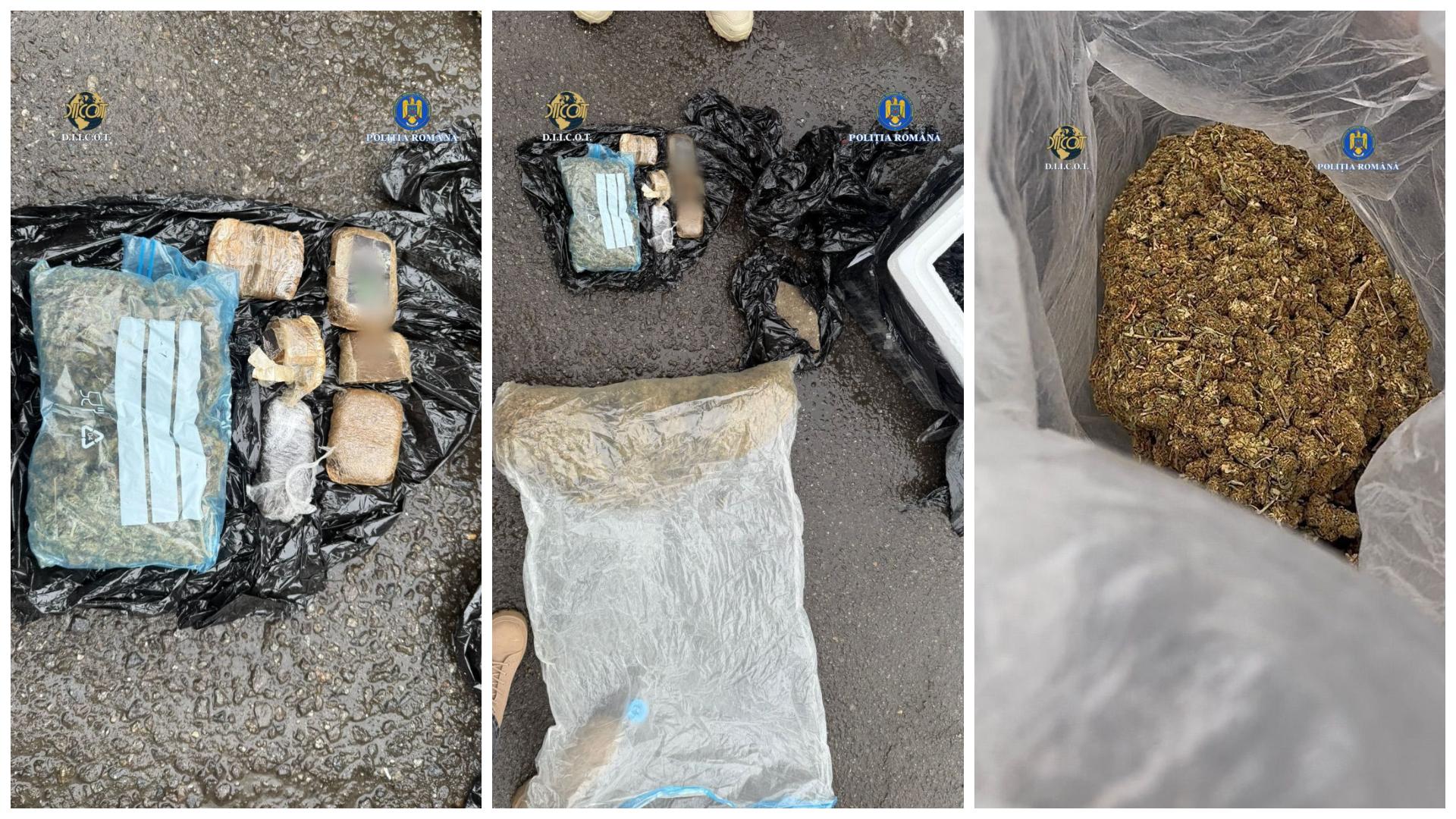 FotoJet - 2026-01-29T150054.279.jpg