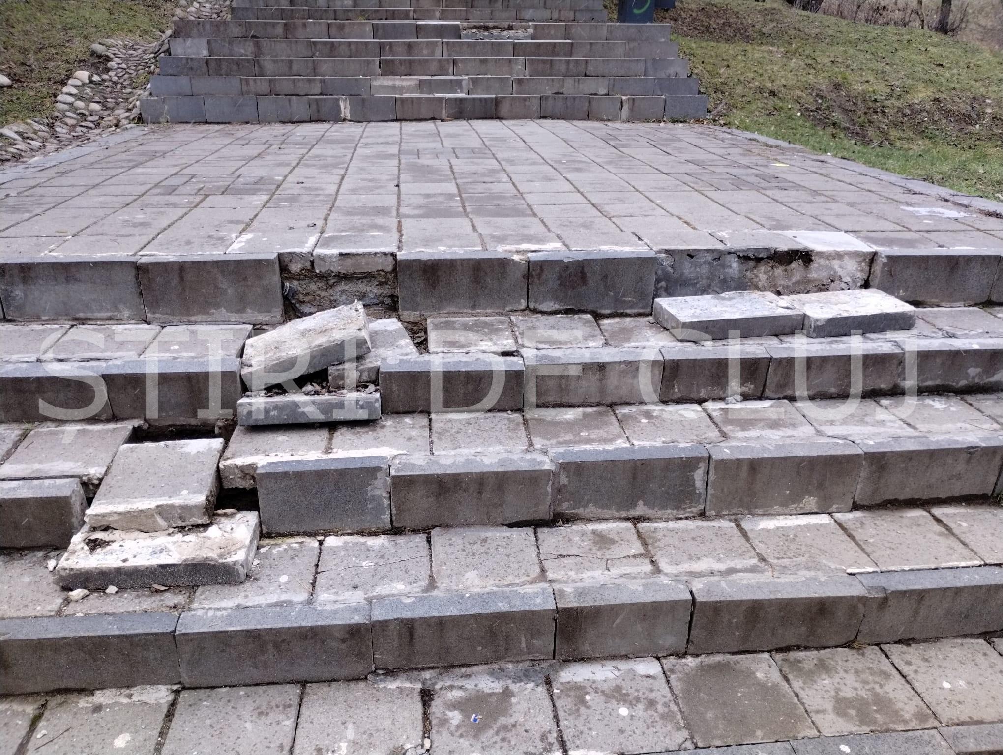 WhatsApp Image 2026-02-02 at 11.59.51.jpg