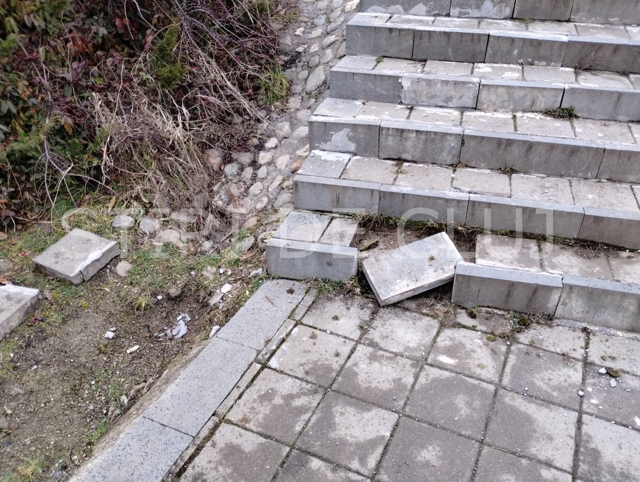 WhatsApp Image 2026-02-02 at 11.59.52.jpg