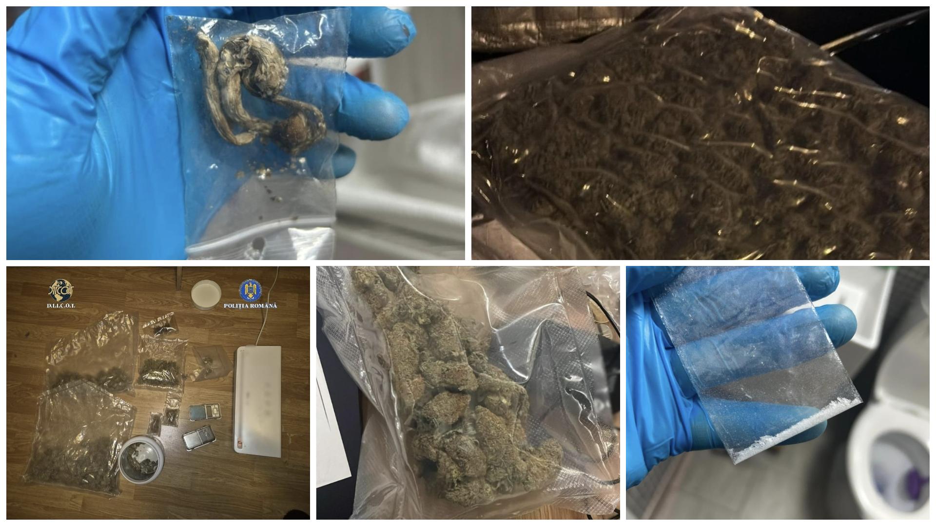 FotoJet - 2026-02-04T155330.529.jpg