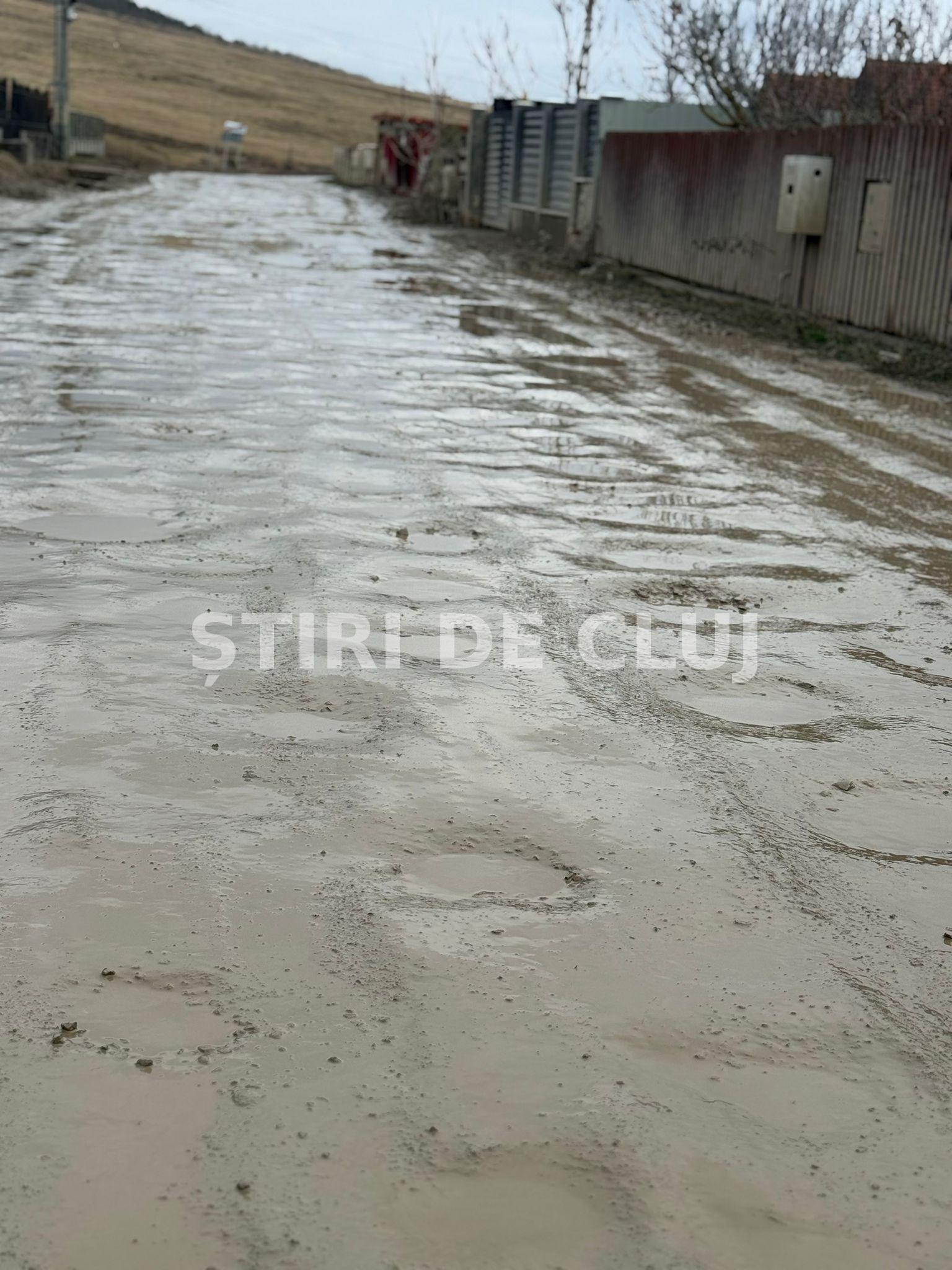 edited_big_WhatsApp Image 2026-02-10 at 11.01.53 (4).jpeg