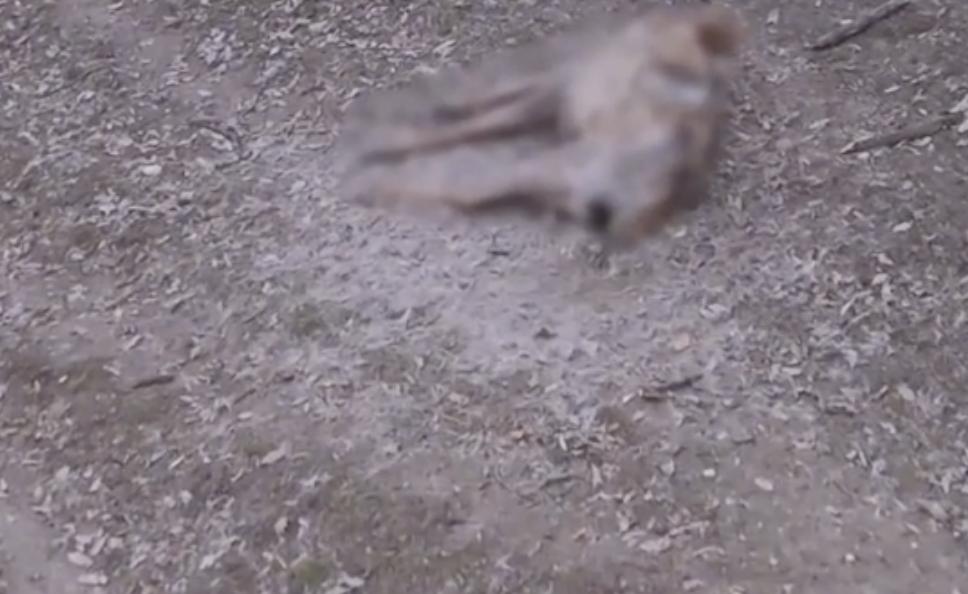 Screenshot 2026-02-17 at 10.02.35.png