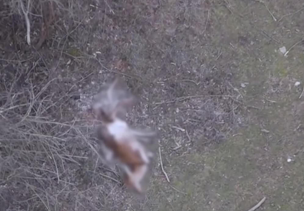 Screenshot 2026-02-17 at 10.02.14.png