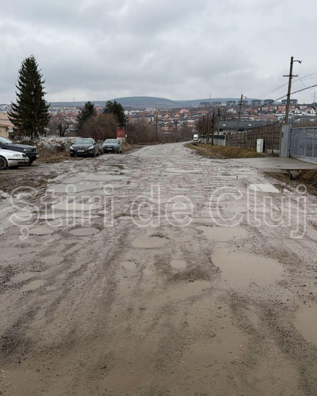 WhatsApp Image 2026-02-17 at 15.26.51.jpeg