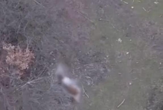 Screenshot 2026-02-17 at 10.02.07.png