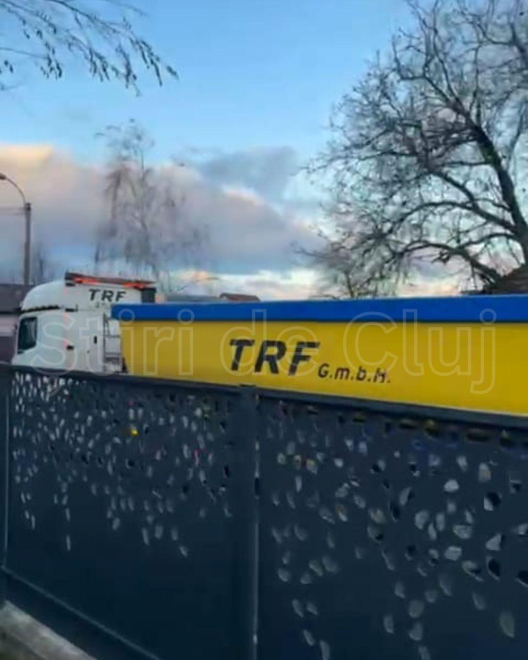 BASS ELEMENTZ (83).jpg