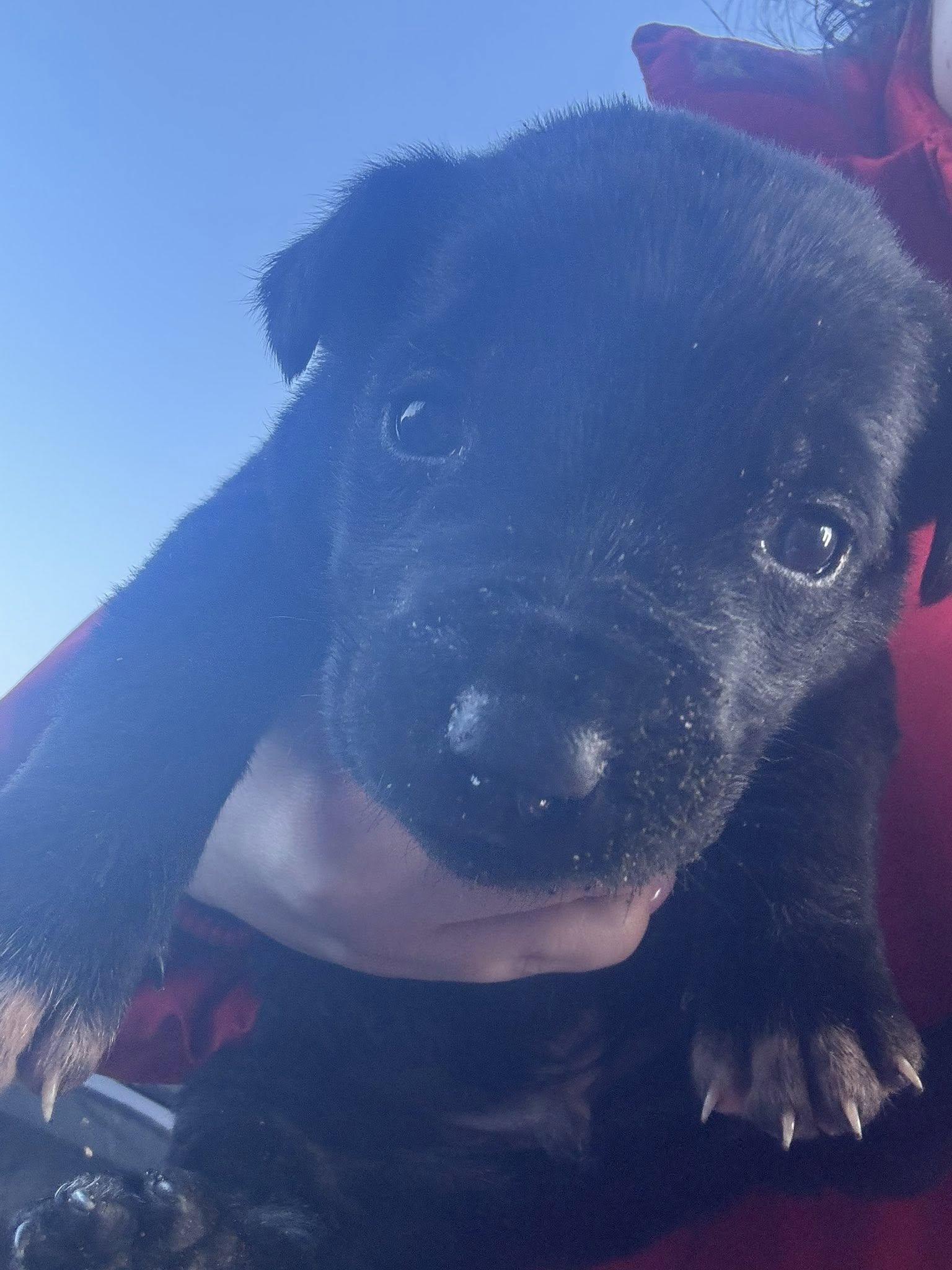 642801200_24528805066817788_3666898302855362069_n (1).jpg